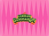 4 billetter til Cirkus Summarum