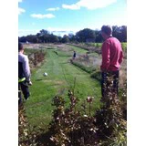 Gavekort på 500 kr. til Sorå Fodboldgolf - Nordjylland