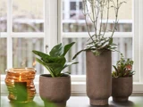 Tre potteplanter i brune potter med struktur og en tændt orange glaslysestage står i vindueskarmen foran et lyst vindue.