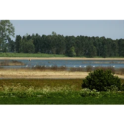 H.C Andersen Golf, Bogense - 4 stk. Greenfee billetter (lørdag, søndag og helligdage) til 18-huller