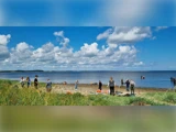 Mennesker er spredt langs en stenet strand nær roligt vand under en lyseblå himmel med skyer. Nogle står, mens andre interagerer eller går tæt på kysten.