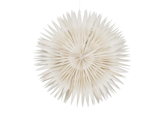House Doctor, Layer, Stjerne, Hvid, Papir, Dia:40 x B:15 cm