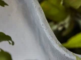 Nærbillede af kanten på en grå betonplantekasse, hvor grønne blade delvist kan ses i den slørede baggrund.