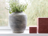 Stor grå keramikvase med grønne bladplanter, placeret i en vindueskarm ved siden af to lukkede, pink-røde rektangulære kasser.