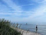 To mennesker går langs en rolig strand med blide bølger under en blå himmel med spredte skyer; højt græs vokser i sandet i forgrunden.
