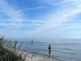 En person går langs kysten, mens en anden står i det lave vand; græsklædte klitter er synlige i forgrunden under en blå himmel med tynde skyer.