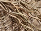 Nærbillede af vævet halm eller tørret græs, der viser indviklede, strukturerede og sammenflettede fibre i naturlige beige- og lysebrune nuancer.