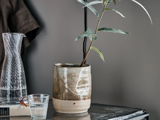 En keramisk urtepotte med en bladstilk står på et bord ved siden af en glaskaraffel, et drikkeglas og en bog med briller på.