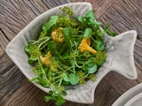 2 stk. Maki Serveringsfade i grå keramik fra House Doctor