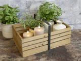 I en trækasse står to tændte lys, en lille plante og en keramikvase med to krydderurter i potter i baggrunden på en rustik træplade.