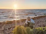 En person i forklæde og kasket plukker planter på en klippestrand ved solnedgang, mens solen skinner over havets bølger i baggrunden.