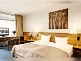 Moderne hotelværelse med en dobbeltseng, to hvide puder, beige sengetøj, hovedgærde i træ, skrivebord med stol, tv, vindue med beige gardiner og et kunstværk på væggen over sengen.