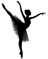 Støtteforeningen for Balletskolen Odense