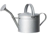 En sølvfarvet metalvandkande med en lang tud og et rundt, perforeret sprinklerhoved, to håndtag og et enkelt, funktionelt design.