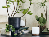 En sort krukke med grønne grene, en kaktus i en ribbet potte, små grønne potteplanter, to moderne lanterner, bøger og en lille figur arrangeret på et bord.