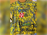 Gul og grå sportstrøje med forskellige sponsorlogoer og tekst, herunder HESTINA, HH og adskillige andre sorte, blå og røde logoer på forsiden.