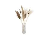 En klar glasvase med et arrangement af beige og brunt tørret pampasgræs på en hvid baggrund.