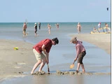 En voksen og et barn graver i vådt sand med skovle på en strand, mens folk svømmer, går og slapper af i baggrunden nær havet.