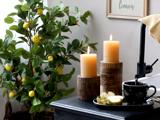 To tændte stearinlys på rustikke stager ved siden af en sort kop, underkop og frugtskiver med et citrontræ og et indrammet citronskilt i baggrunden.