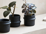 To små, sorte potter med grønne planter og en tredje tom potte står på en lys flade mod en beige væg.