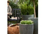 Lauvring, Cung, Picnickurv, Natur, Flet, H:50 x B:28 x L:48 cm