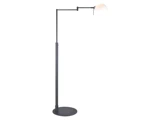 En sort gulvlampe med en rund fod og en justerbar arm, med en hvid halvkugleformet lampeskærm.