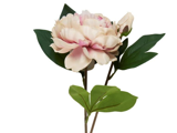 En lyserød kunstig pæonblomst med grønne blade og en lukket knop på en stilk, isoleret på en hvid baggrund.