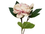 En lyserød kunstig pæonblomst med grønne blade og en lukket knop på en stilk, isoleret på en hvid baggrund.