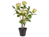 En kunstig rosenplante i potte med flere lysegule og rosa rosenblomster, grønne blade og brune stængler i en sort plastikpotte.