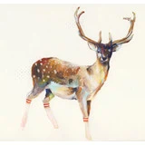 Deer in gym socks fra Illux.dk