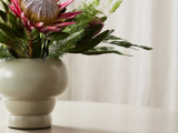 En keramikvase med lyserøde protea-blomster og grønt løv står på et lyst bord foran et hvidt gardin.