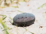 En lille bærbar Bluetooth-højttaler hviler på sandjord med nogle grønne græsstrå i nærheden.