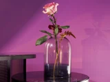 En enkelt lyserød rose og andre små blomster i en glasvase med vand, placeret på et mørkt marmorbord mod en lilla væg.