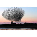 Oplev DK´s største naturfænomen Sort Sol inkl. ophold for 2 på Hotel Ballumhus