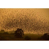 Oplev DK´s største naturfænomen Sort Sol inkl. ophold for 2 på Hotel Ballumhus