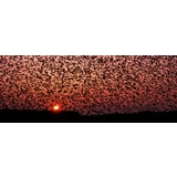 Oplev DK´s største naturfænomen Sort Sol inkl. ophold for 2 på Hotel Ballumhus