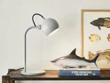 En hvid skrivebordslampe oplyser en hylde med en hajfigur på bøger ved siden af en indrammet fiskeillustration på en hvid væg.