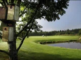 To forvitrede fuglehuse på et træ har udsigt over en grøn golfbane med tre mennesker i det fjerne nær en dam under en overskyet himmel.