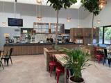Moderne caféindretning med træborde, røde og sorte stole, stueplanter, hængende lamper og to medarbejdere bag disken. Store vinduer lukker naturligt lys ind.