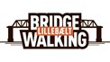 Lillebælt Bridge Walking