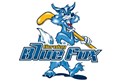 Blue Fox Herning A/S