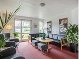 En lys stue med store vinduer, grå sofaer, et sofabord i træ, indendørs planter og vægkunst. Lyset strømmer ind og fremhæver det hyggelige, indbydende rum med rødt gulvtæppe.