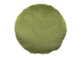 En rund, grøn pude med en blød, fløjlsagtig tekstur mod en hvid baggrund.