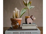 En kaktus i potte, en bladplante, en glaskugle og en hundefigur i træ står på stablede bøger, blandt andet en med titlen HIDE AND SEEK.