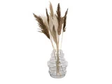 Klar glasvase med et moderne, afrundet design, der holder højt beige og brunt tørret pampasgræs mod en hvid baggrund.