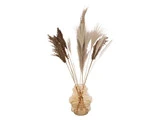 En beige glasvase med flere høje, tørrede pampasgræsstængler i forskellige brune og cremefarvede nuancer arrangeret mod en hvid baggrund.