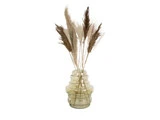 En klar, riflet glasvase med flere høje, tørrede pampasgræsstængler arrangeret indeni mod en hvid baggrund.