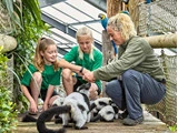 Gavekort, kr. 5.000, til hel eller delvis køb af ophold på Jesperhus Resort.