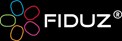 Fiduz Design