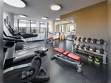Moderne fitnesscenter med løbebånd, en stationær cykel, vægtstativer, håndvægte, røde bænke og store vinduer, der lukker naturligt lys ind.